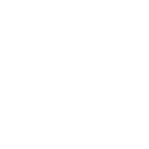 Umzuege Max